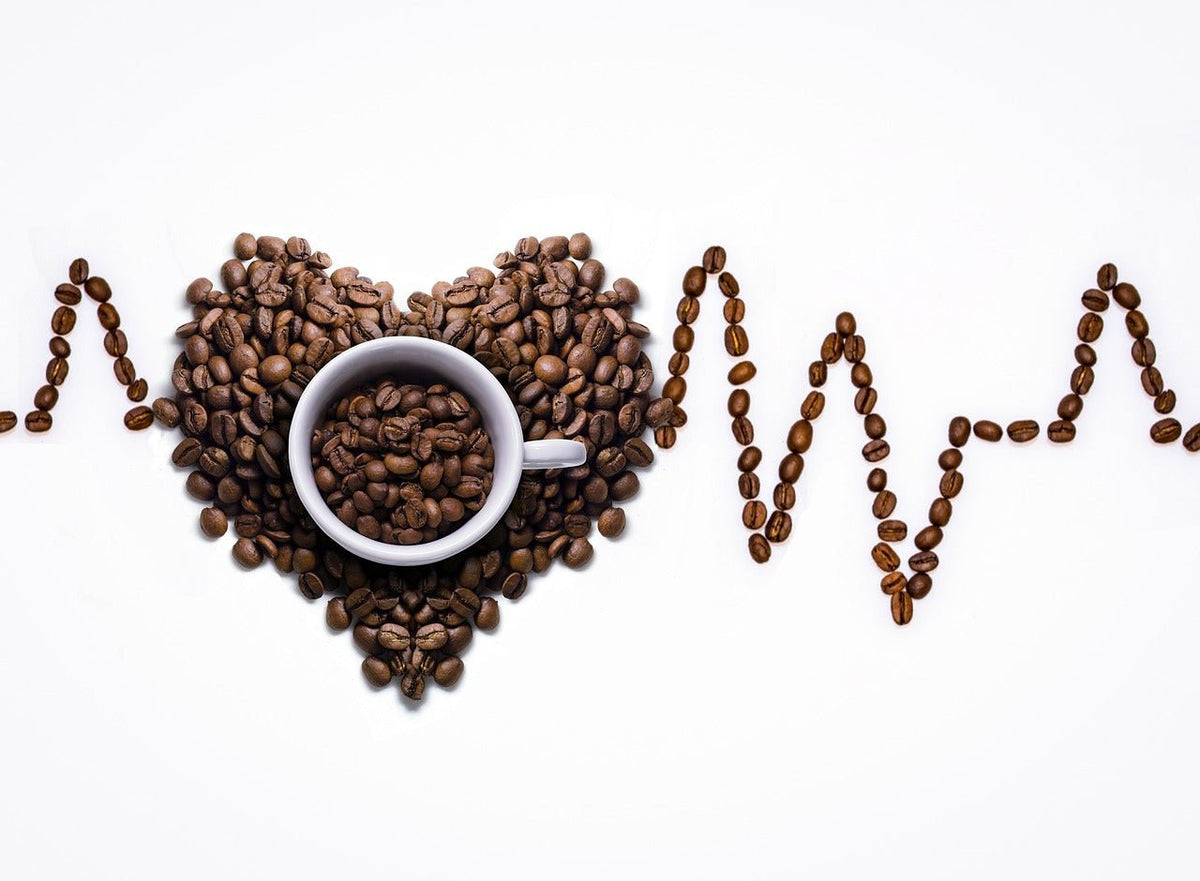 Cómo diferenciar un buen grano de café - TRESSO® 